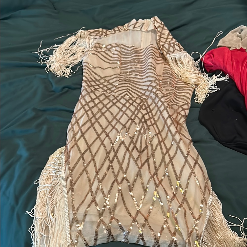 Elegant Rose Gold Fringe Dress